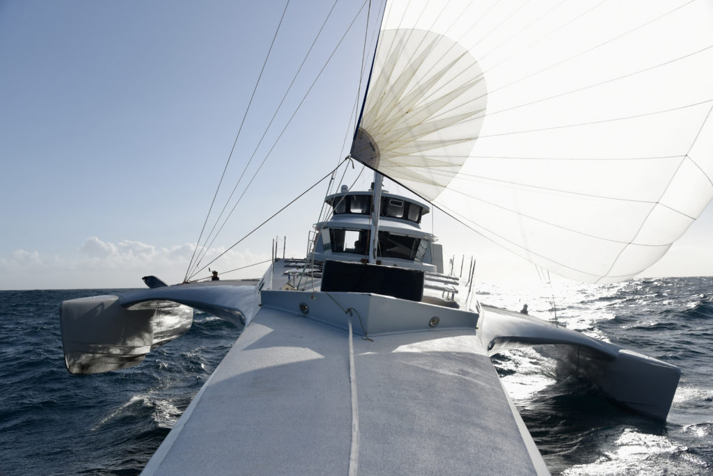 trimaran sea shepherd